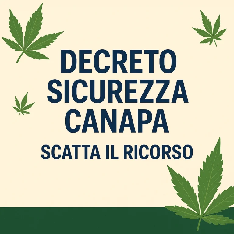 Immagine con foglie di canapa e testo "Decreto Sicurezza Canapa - Scatta il Ricorso", a rappresentare il ricorso legale contro il decreto.
